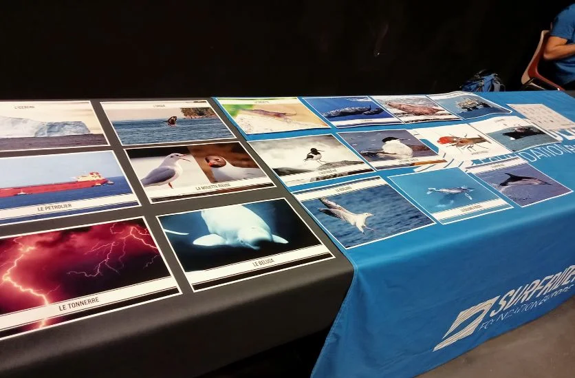 atelier de la vue stand de sensibilisation surfrider