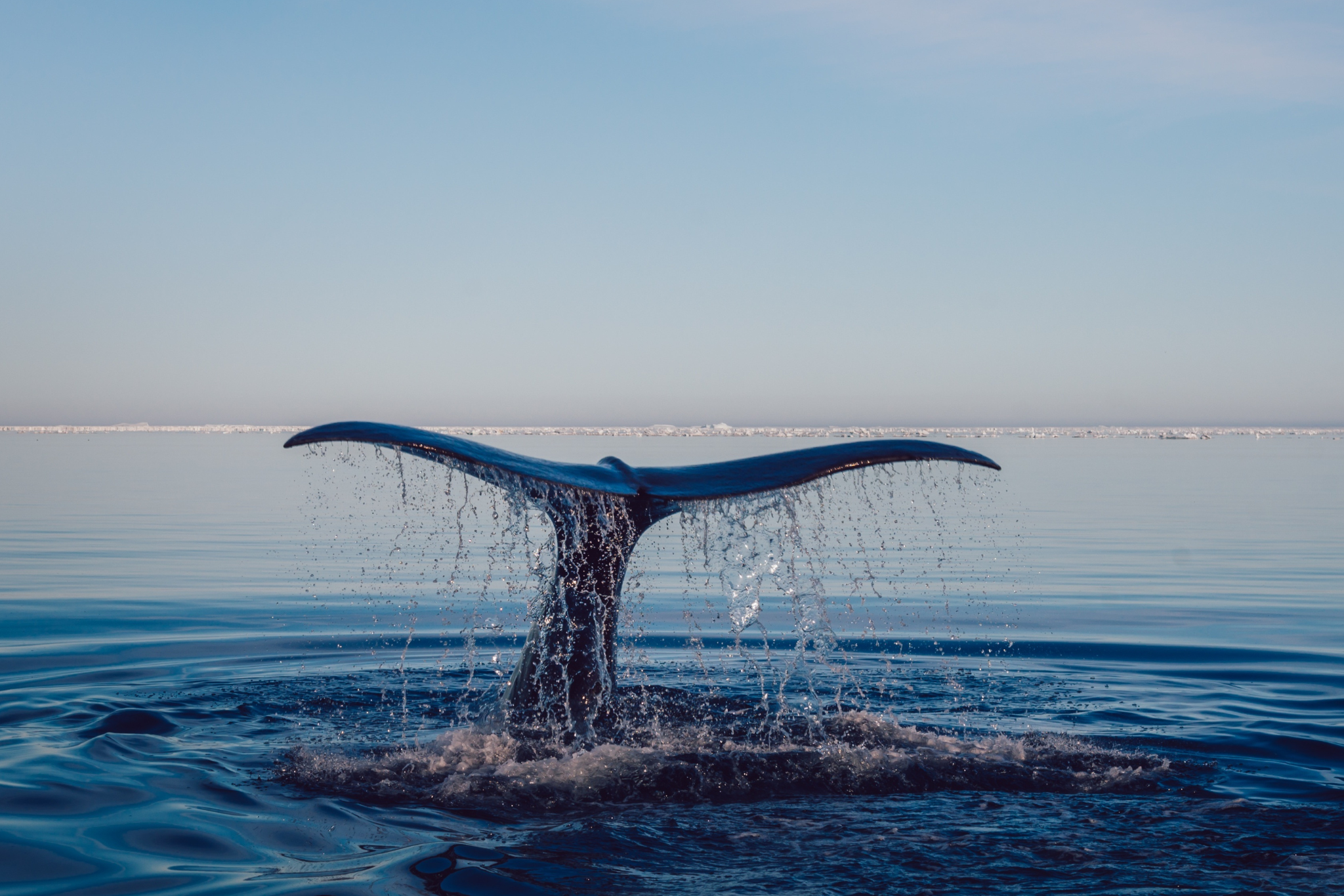 Année de la Mer 2025 RSE Act with Surfrider