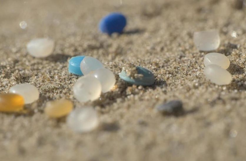 Act with surfrider ODD 14